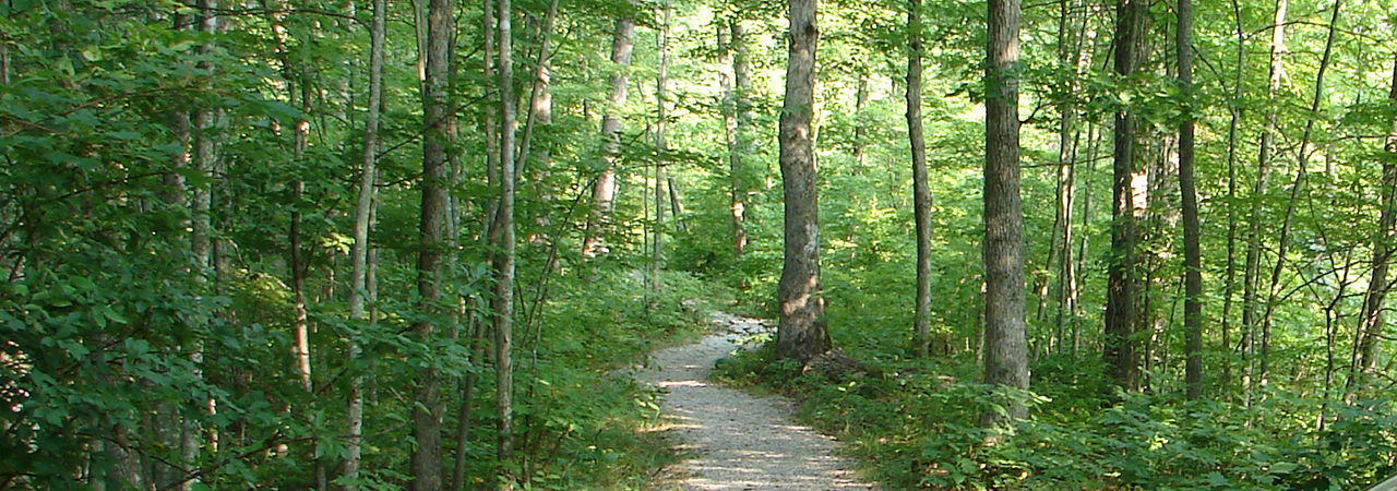 Camp Wildcat Battlefield American Battlefield Trust